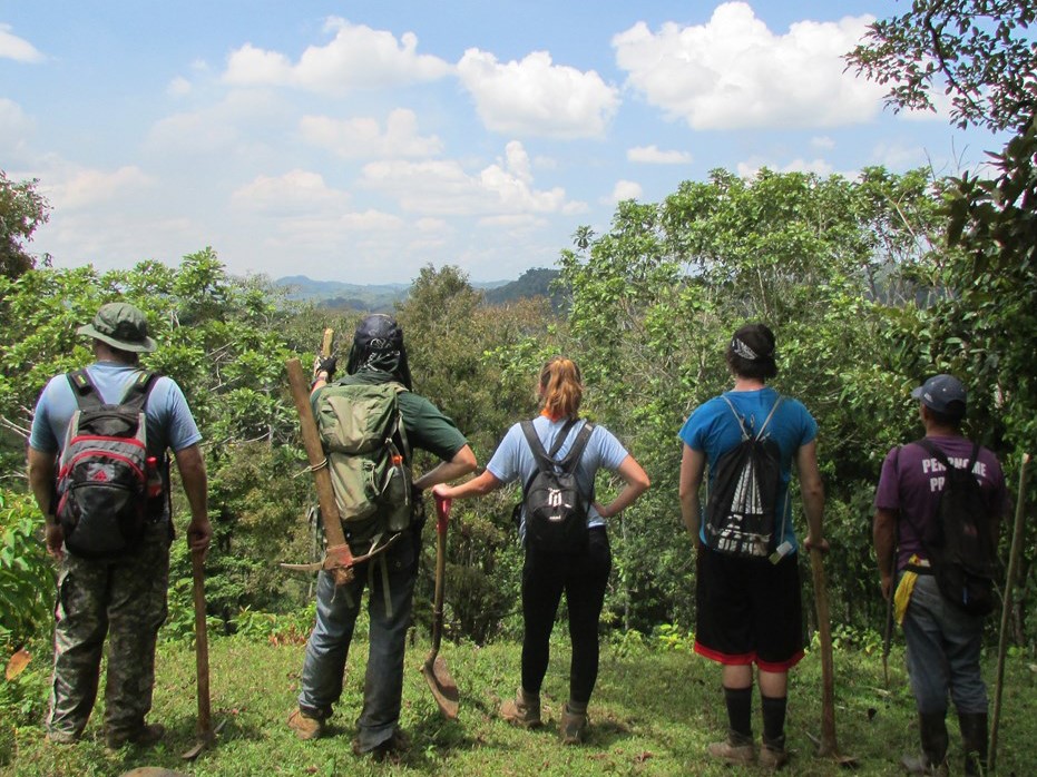 students on engineers without borders trip stand on an elevation and look out at a forested view