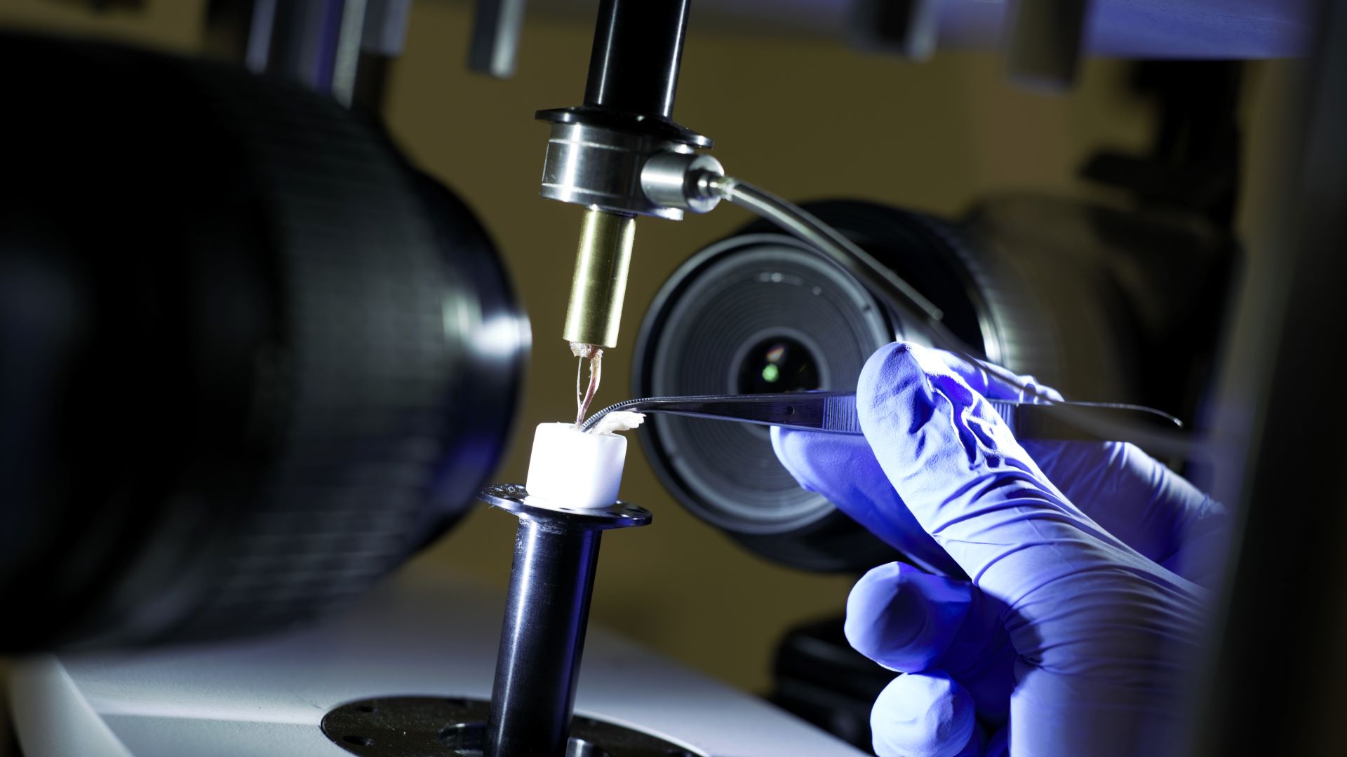 a gloved hand holds tweezers while a machine inserts a fiber into a component with camera lenses on two sides